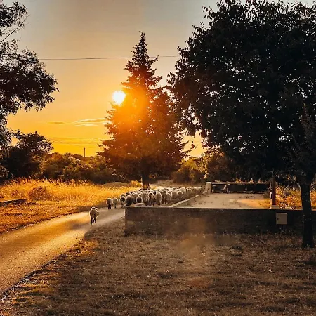 Toni By Botanica Traditional Stone House Trbounje