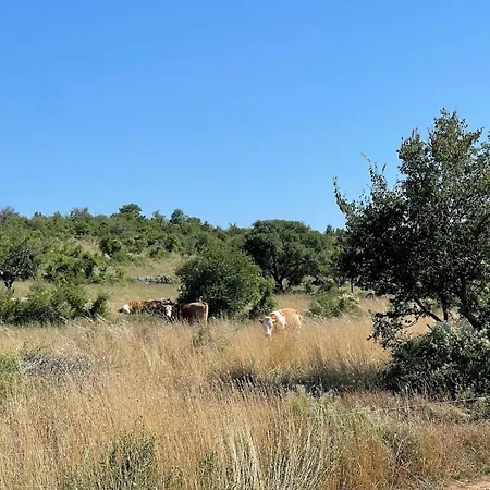 Toni By Botanica Traditional Stone House Prázdninový dům *