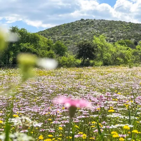 Prázdninový dům Toni By Botanica Traditional Stone House