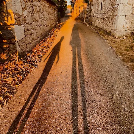 Toni By Botanica Traditional Stone House