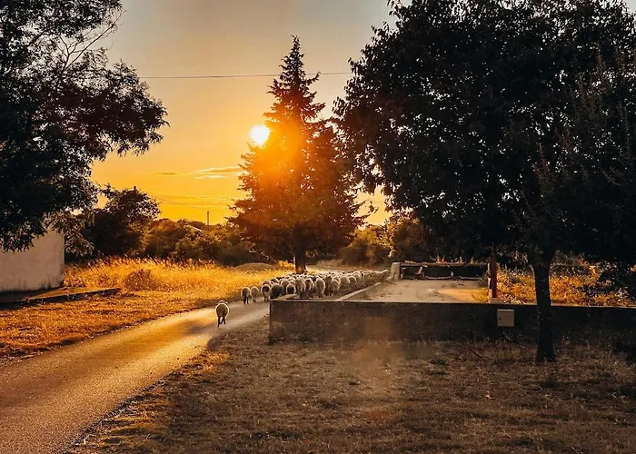 Toni By Botanica Traditional Stone House Trbounje