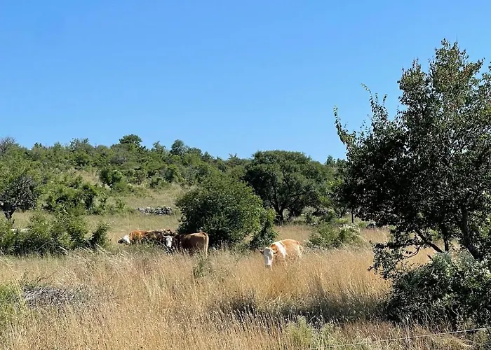 Toni By Botanica Traditional Stone House Vikendica *