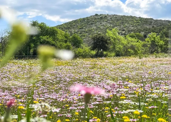 Nyaraló Toni By Botanica Traditional Stone House