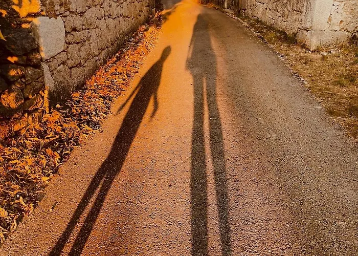 Toni By Botanica Traditional Stone House